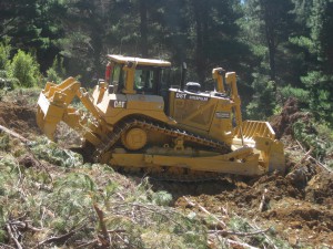 Forestry (1) 